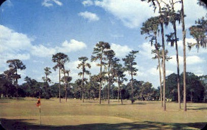 Golf Course - Misc, Florida FL Postcard