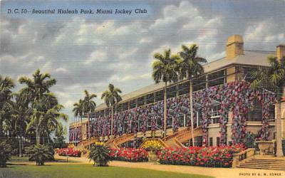 Beautiful Hialeah Park, Miami Jockey Club Florida Postcard