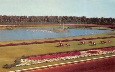 Beautiful Hiahleah Race Course Miami, Florida Postcard
