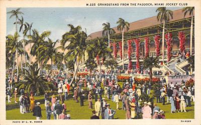 Grandstand from the Paddock, Miami Jockey Club Florida Postcard