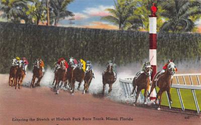 Entering the Stretch at Hialeah Park Race Track Miami, Florida Postcard