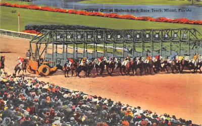 They're Off at Hialeah Park Miami, Florida Postcard