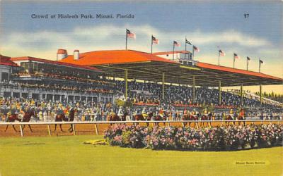 Crowd at Hialeah Park Miami, Florida Postcard