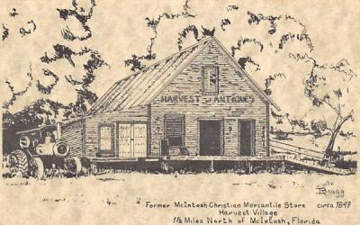 Former McIntosh Christian Mercantile Store Florida Postcard