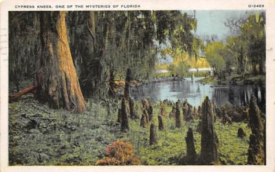 One of the Mysteries of Florida, USA Postcard