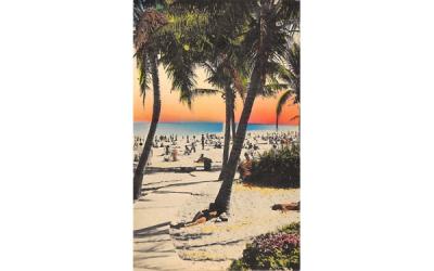 Under the Palms at the Water's Edge Miami Beach, Florida Postcard