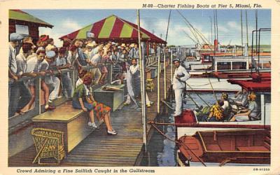Charter Fishing Boats at Pier 5 Miami, Florida Postcard