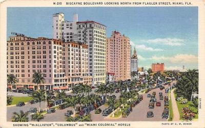 Biscayne Boulevard Miami, Florida Postcard
