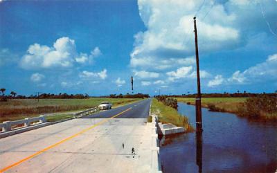 Along the Jamiami Trail Misc, Florida Postcard