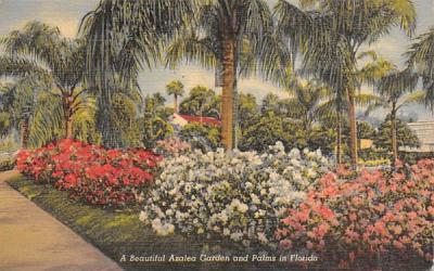 Azalea Garden and Palms in Florida, USA Postcard