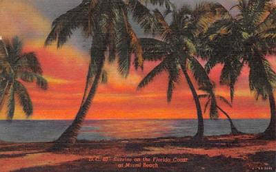 Sunrise on the Florida Coast Postcard