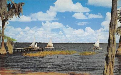 boats scudding over blue Florida water Postcard