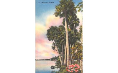 Twilight in Florida, USA Postcard