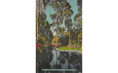 Florida - Land of Sub Tropical Splendor Postcard
