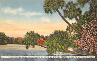 The Suwannee River Misc, Florida Postcard