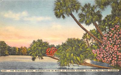 The Suwannee River Misc, Florida Postcard