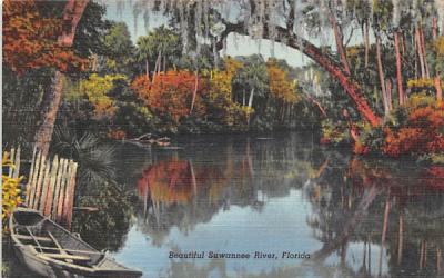 Beautiful Suwannee River, Florida, USA Postcard