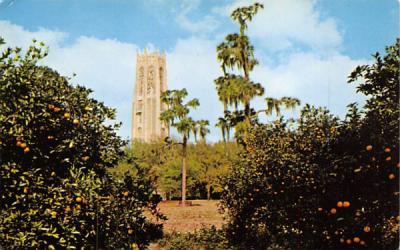 The Singing Tower Misc, Florida Postcard