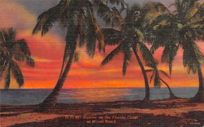 Sunrise on the Florida Coast Postcard