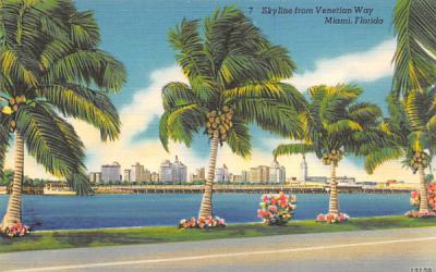 Skyline from Venetian Way Miami, Florida Postcard