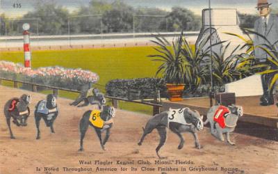 West Flagler Kennel Club Miami, Florida Postcard