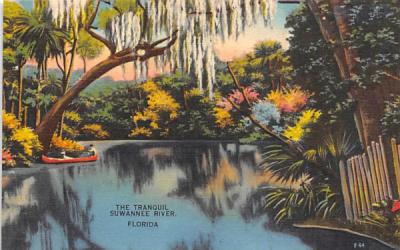 The Tranquill Suwannee River Misc, Florida Postcard