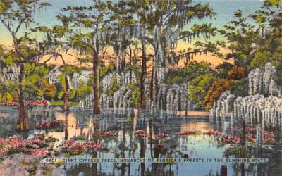 Monarchs of Florida's Forests in the Sunshine State, USA Postcard