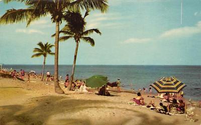 Miami's Shores at Crandon Park Florida Postcard