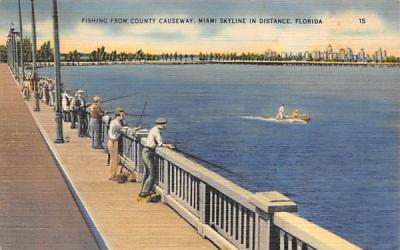 Fishing From County Causeway, Fishing Miami, Florida Postcard