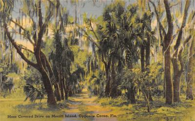 Moss Covered Drive on Merritt Island Misc, Florida Postcard