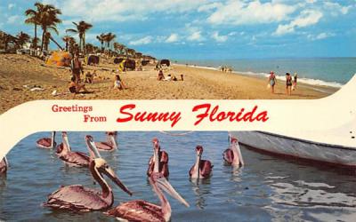 Greetings from Sunny Florida, USA Postcard