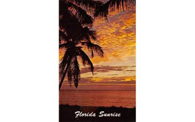 Florida Surise, USA Postcard