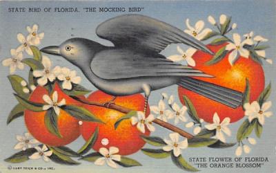 State Bird of Florida, 