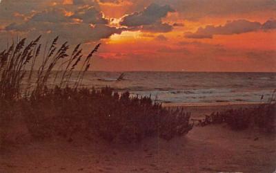 Sunrise at the Shore Misc, Florida Postcard