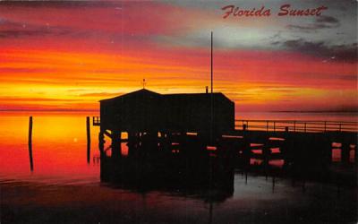 Florida Sunset Postcard