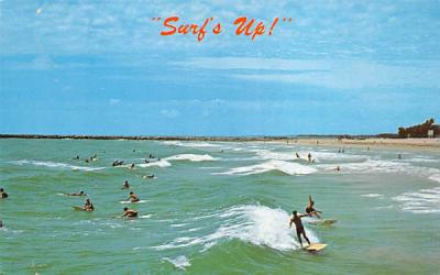 Surf's Up! Misc, Florida Postcard