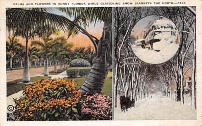 unny Florida While Glistening Snow Blankets Postcard