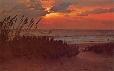 Sunrise at the SHore Misc, Florida Postcard