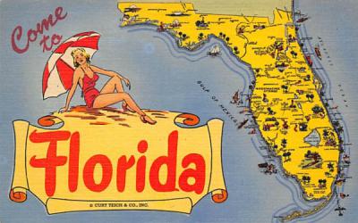 come to Florida, USA Postcard