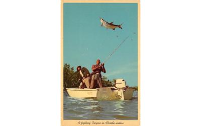 A fighting Tarpon in Florida waters, USA Postcard