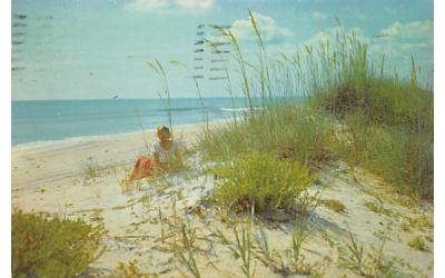 Along the Beautiful Sandy Beaches of Florida, USA Postcard