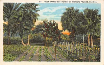 Truck Garden, Tropical Foliage, Florida, USA Postcard