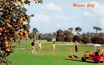 Winter Golf Misc, Florida Postcard