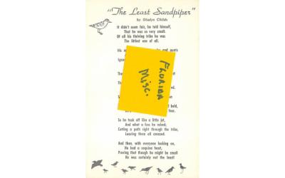 The Least Sandpiper Misc, Florida Postcard