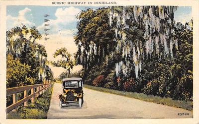 Scenie Highway in Dixieland Misc, Florida Postcard
