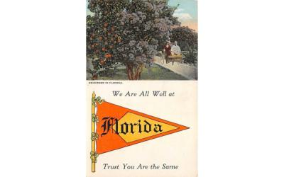We Are All Well at Florida Trust You Are The Same Postcard