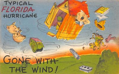Typical Florida Hurricane, Gone with the Wind! Postcard
