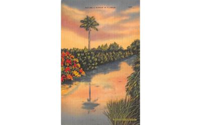 Nature's Mirror in Florida, USA Postcard