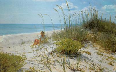 Along the Beautiful Sandy Beachs of Florida, USA Postcard