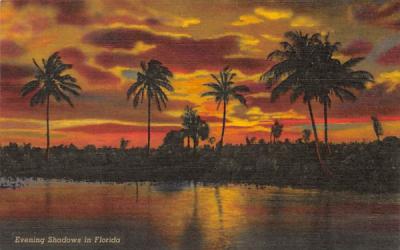 Evening Shadows in Florida, USA Postcard